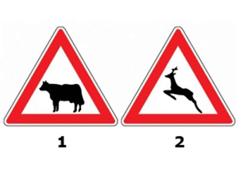 Imaginea 1 a întrebării